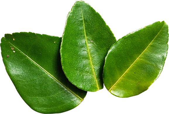 Kaffir Lime Leaf